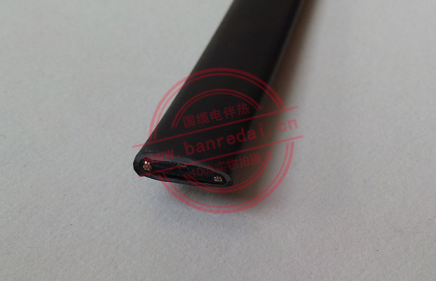 低電壓自限溫電伴熱帶